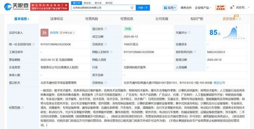 哈啰出行在京成立網(wǎng)絡(luò)科技新公司，注冊(cè)資本達(dá)1000萬(wàn)美元聚焦信息技術(shù)咨詢